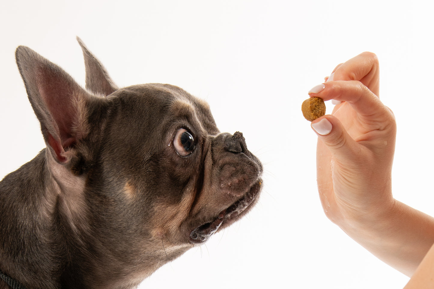Allergy chews - 60 бр.