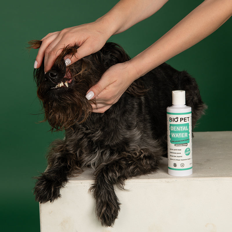 Дентална вода - 250 мл.