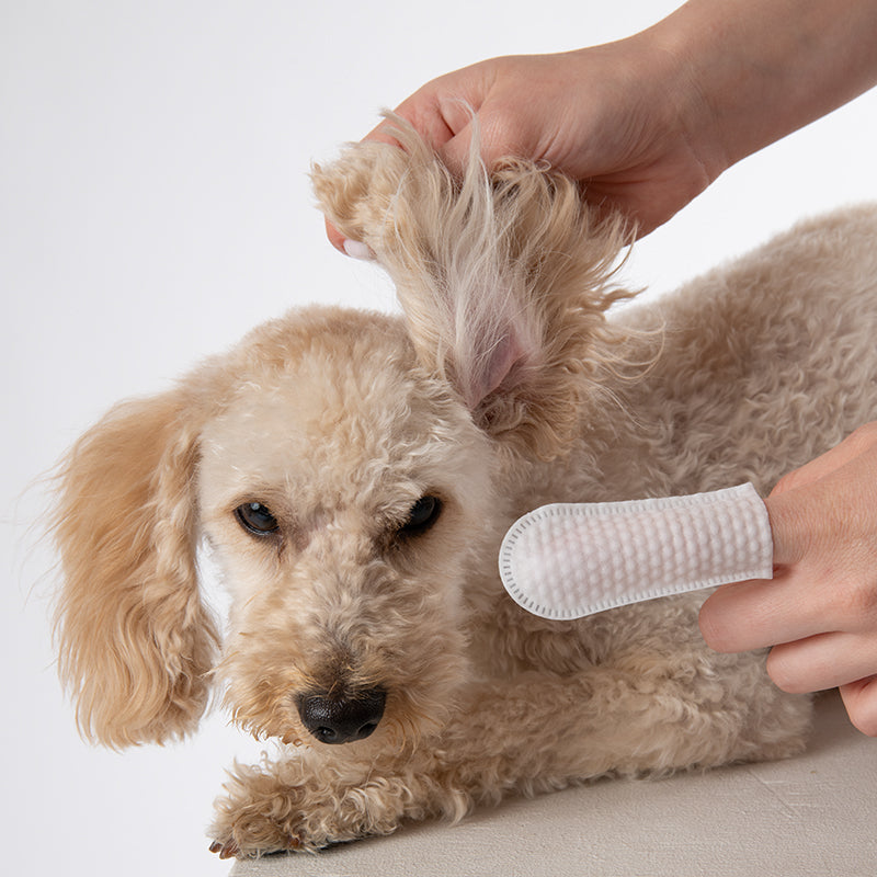 Мокри кърпички за уши - 50 бр.