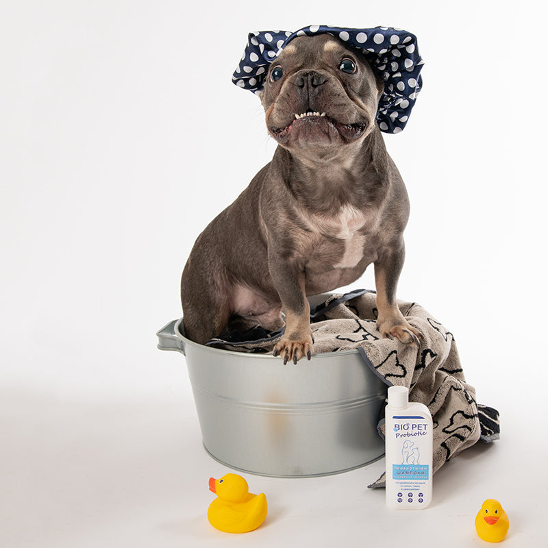 Пробиотичен шампоан BIO PET Probiotic