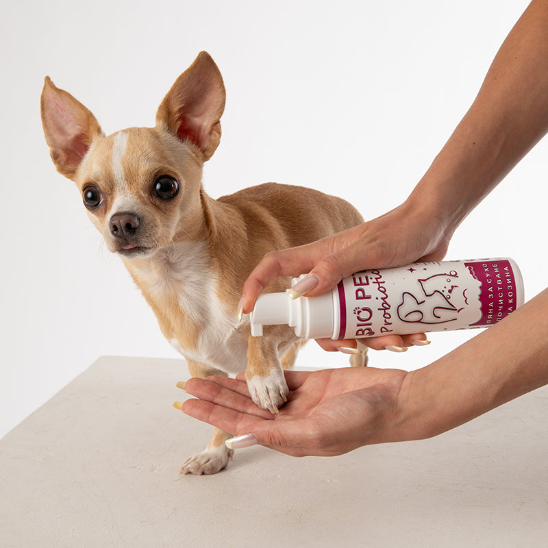 Пробиотична пяна за сухо почистване - 210мл.