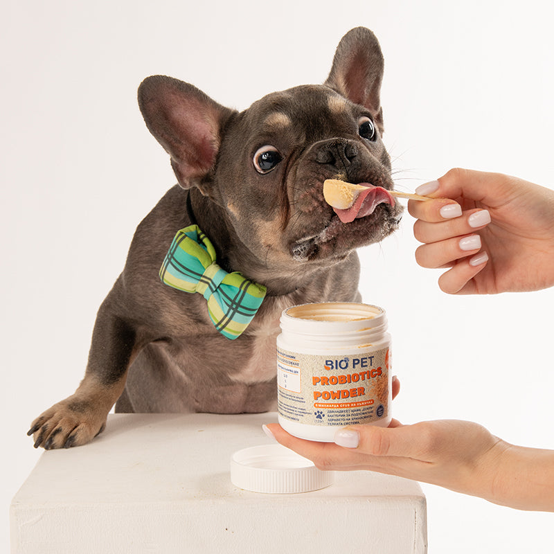 Probiotic Powder - 120 гр.