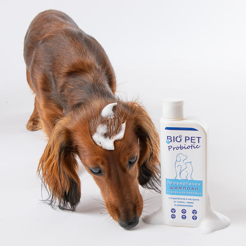 Пробиотичен шампоан BIO PET Probiotic