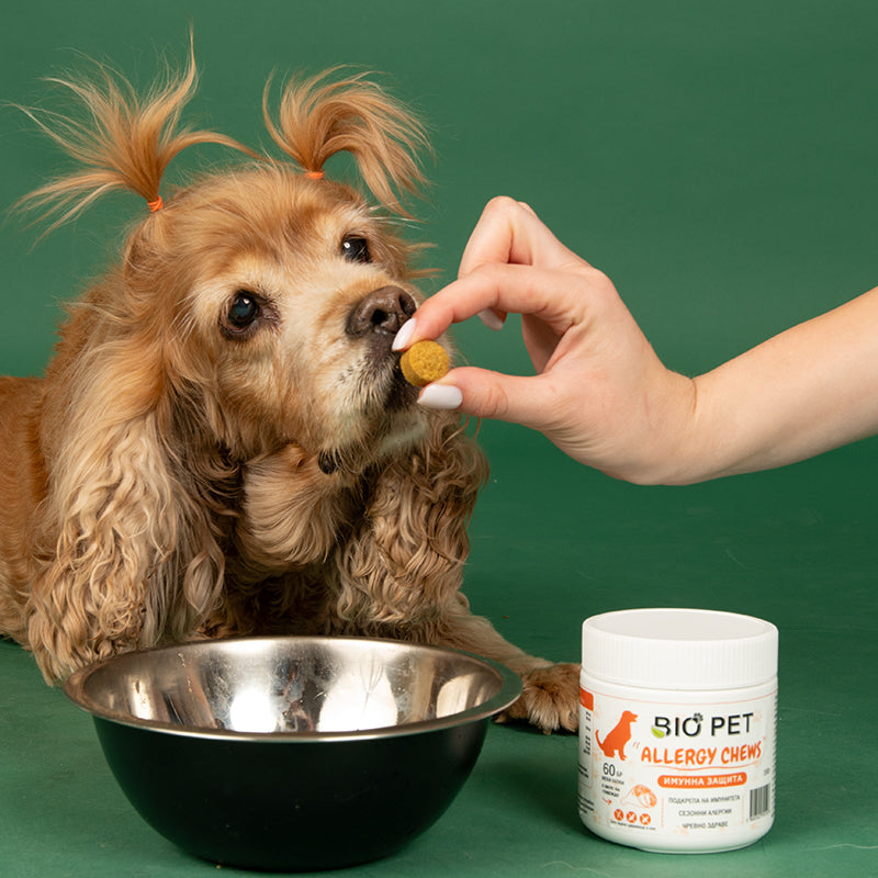 Allergy chews - 60 бр.