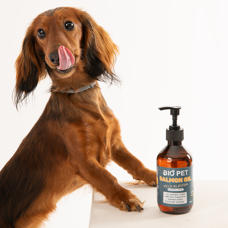 Salmon Oil - 100% натурално масло от сьомга