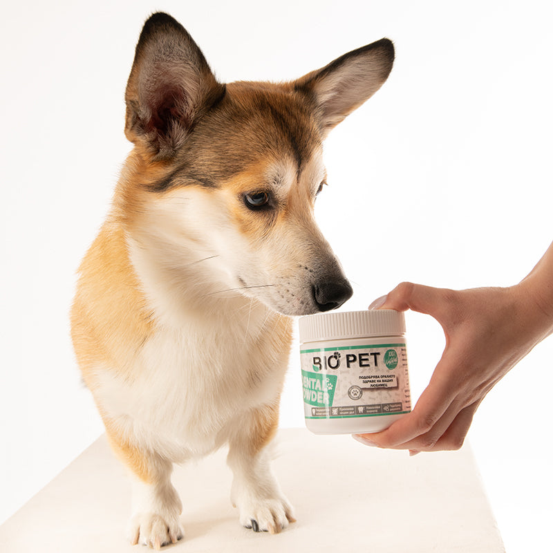 Dental Powder - 3 на цената на 2