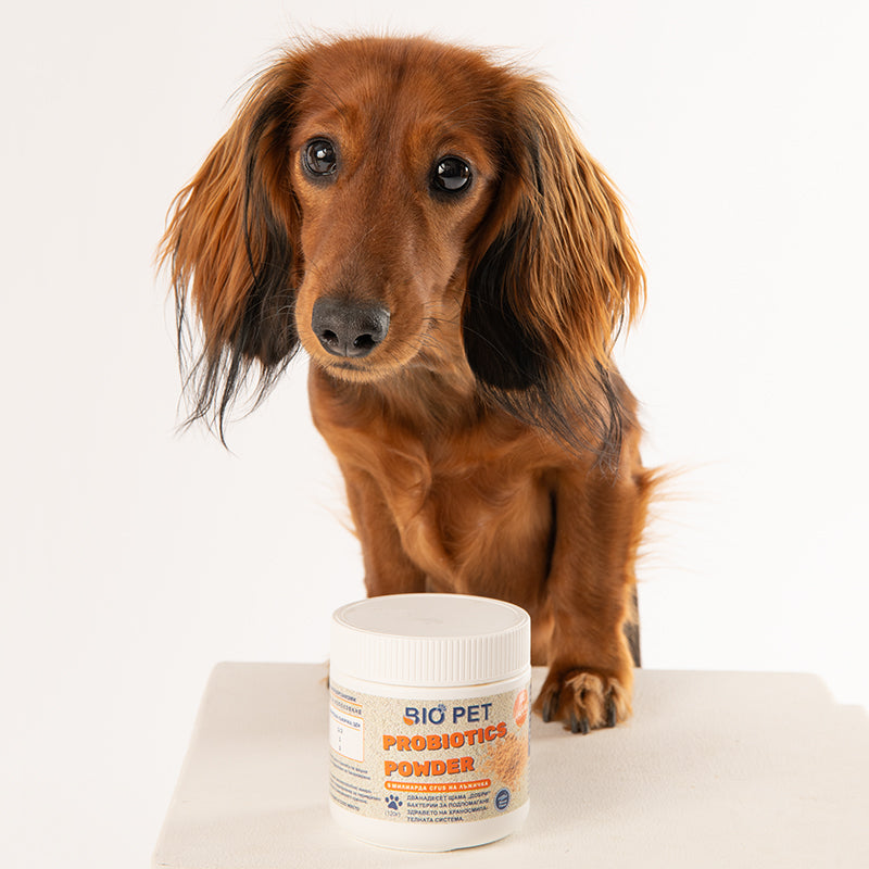 Probiotic Powder - 120 гр.
