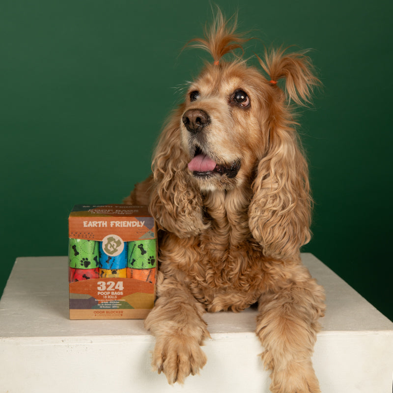 БИОРАЗГРАДИМИ торбички за изпражниния