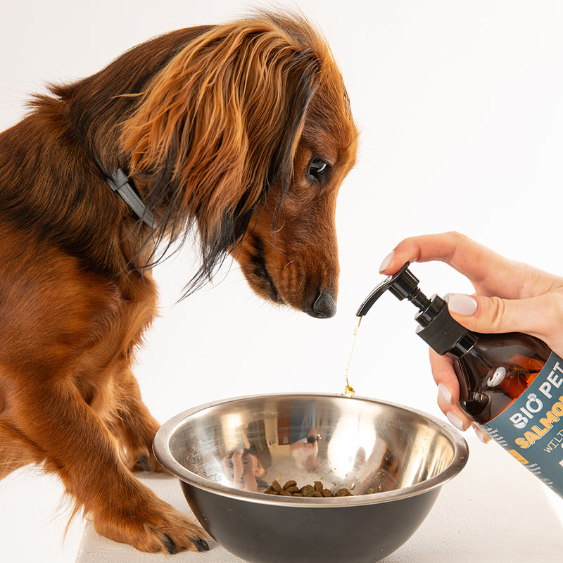 Salmon Oil - 100% натурално масло от сьомга