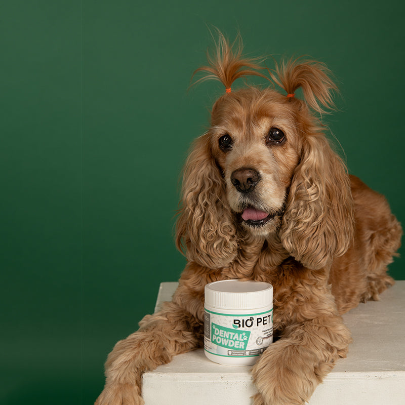 Dental powder - 120 гр.