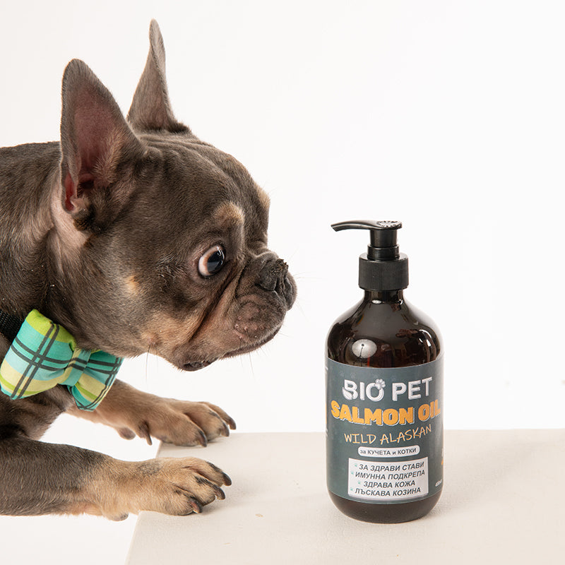 Salmon Oil - 100% натурално масло от сьомга