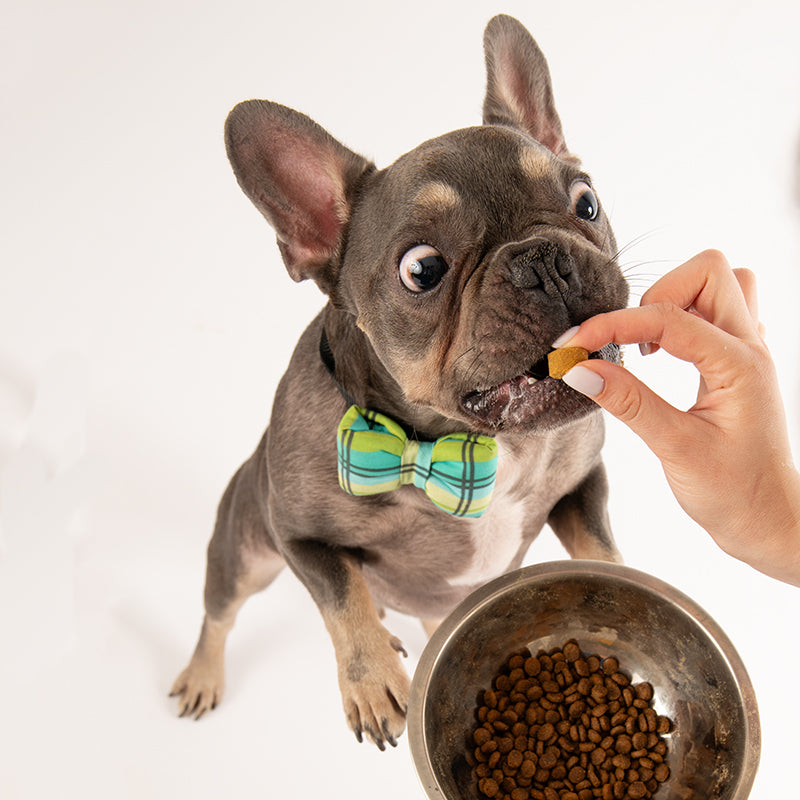 Allergy chews - 60 бр. New formula