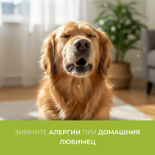 Зимните алергии при домашния любимец