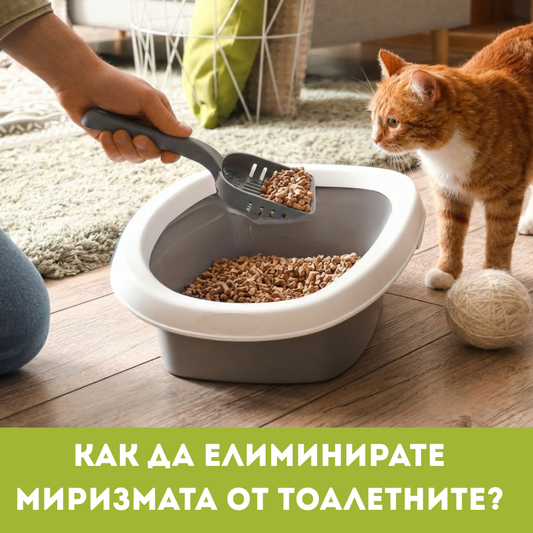 Kак да елиминирате миризмата от тоалетните на домашните любимци