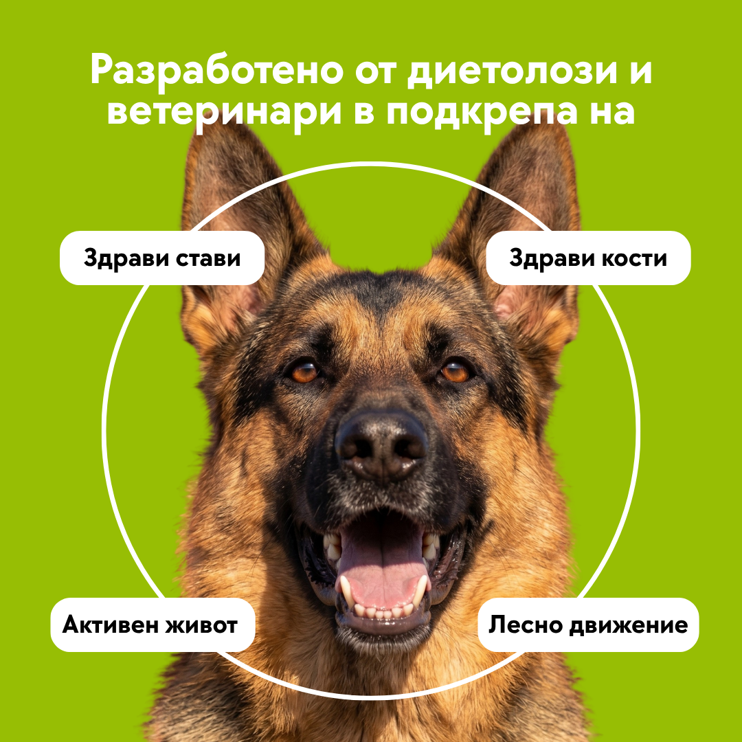 Hip and Joint chews - 120 бр. New Formula