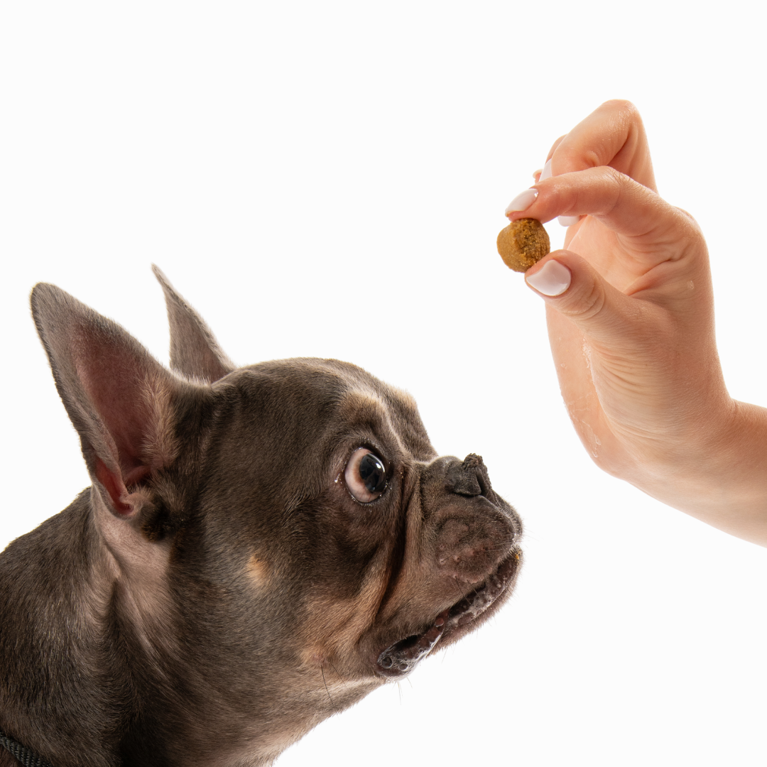 Allergy chews - 60 бр. New formula