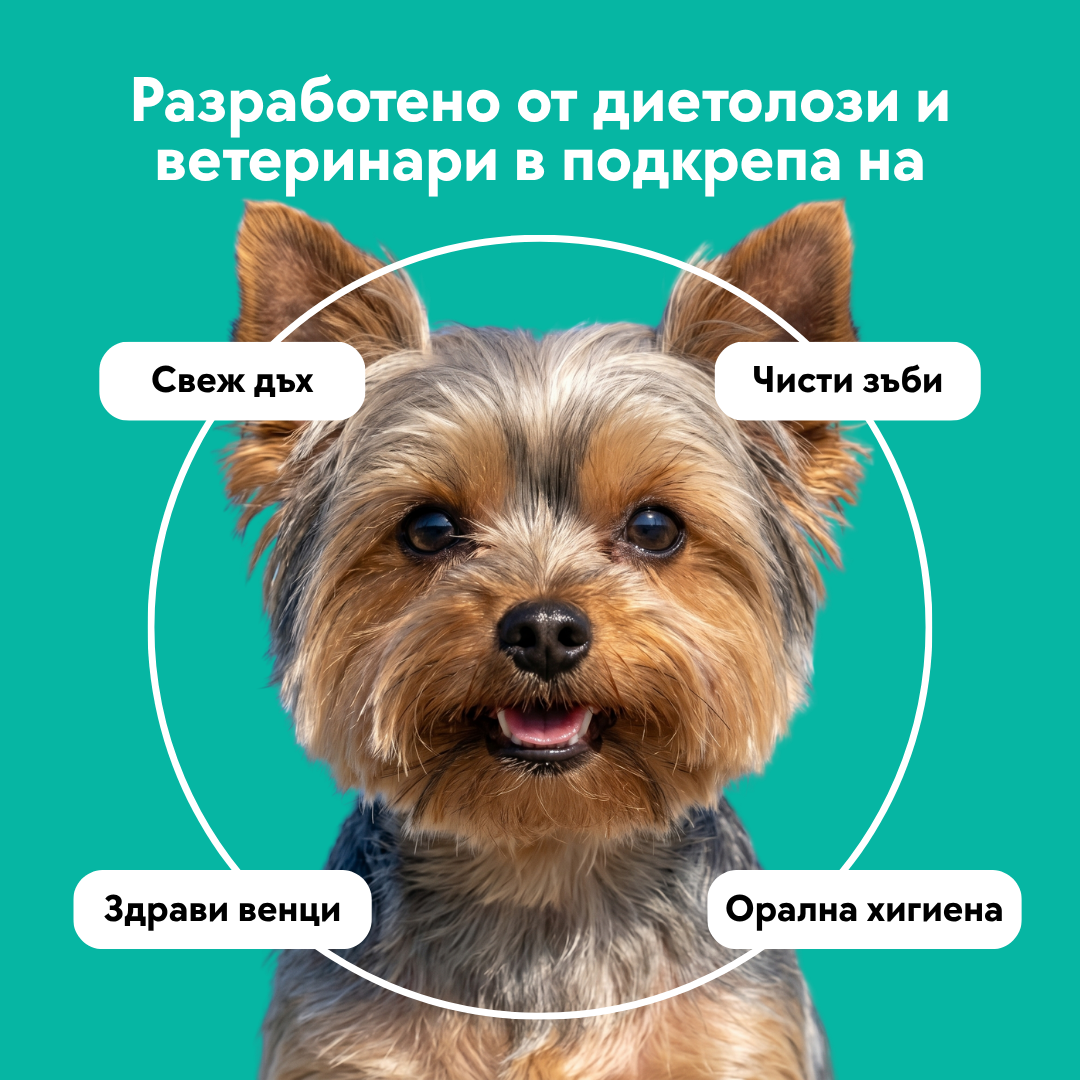 Дентална вода - 250 мл.