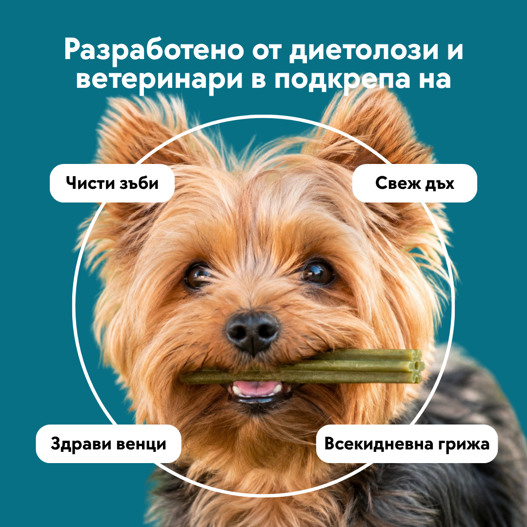 Dental sticks - 7 бр.