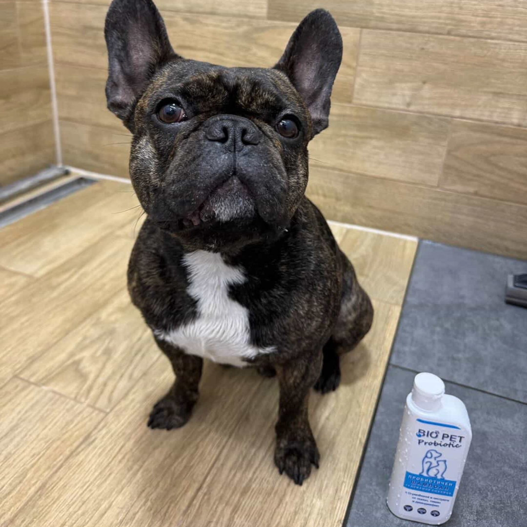 Пробиотичен шампоан BIO PET Probiotic - 250мл.