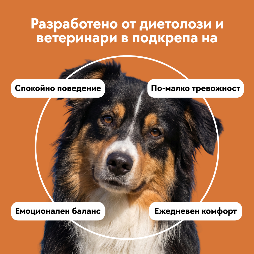 Успокояващи хапки - 60 бр. New Formula