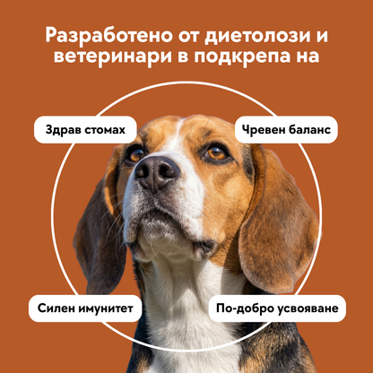 Probiotic Powder - 120 гр.