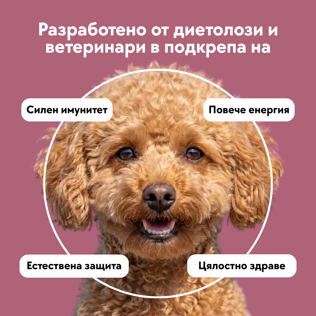 Mushroom Powder - 120 гр.