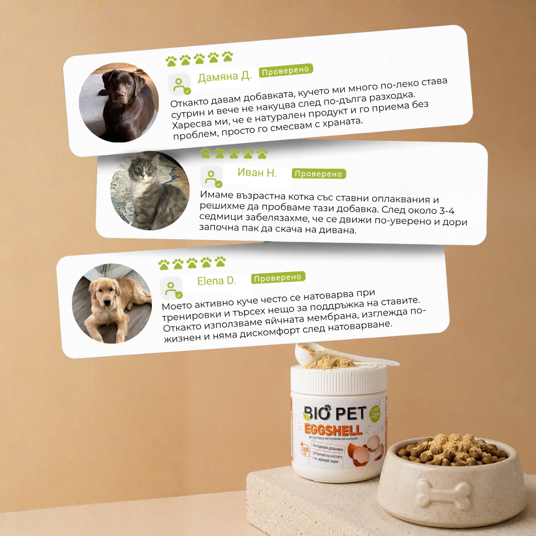 Eggshell Membrane Powder - 120 гр.