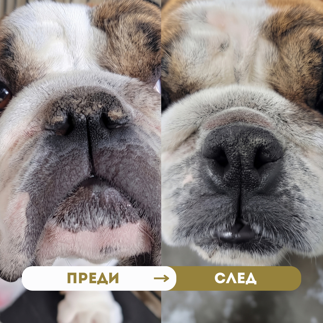 Крем природно чудо BIO PET