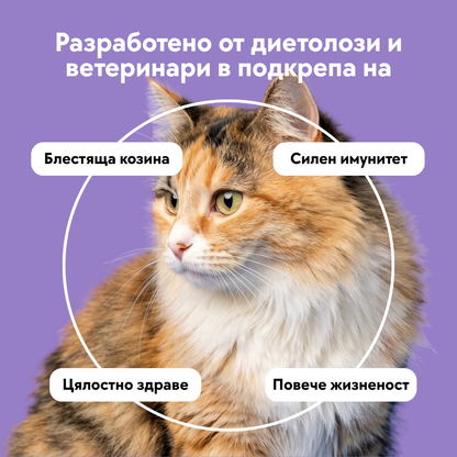 Мултивитамини 3в1 - Козина, Стави и Общо Здраве ~250 бр.