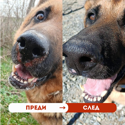 Allergy chews - Грижа за кожата, подкрепа за имунитета - 60 бр.