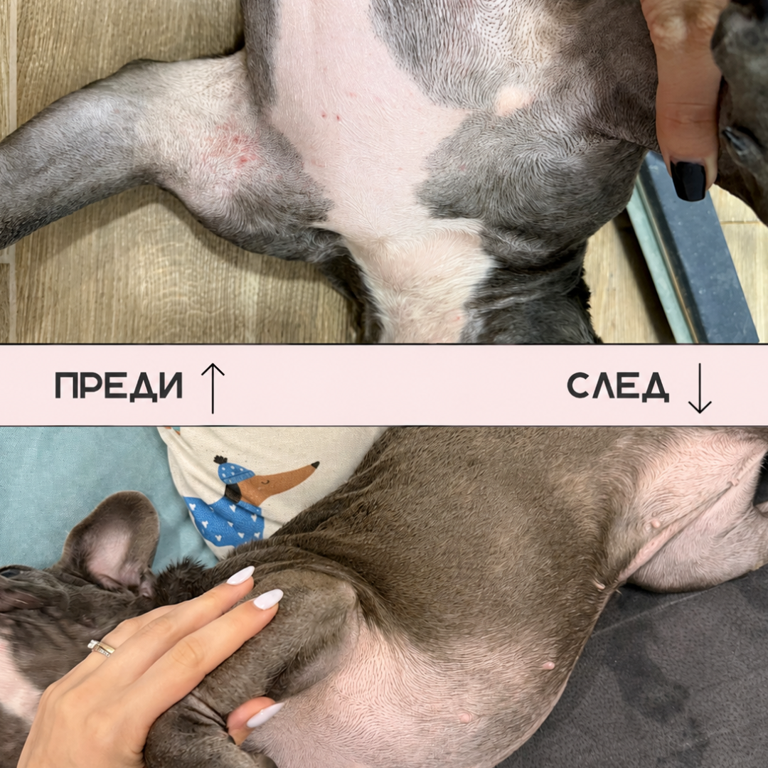 Allergy chews - Грижа за кожата, подкрепа за имунитета - 60 бр.