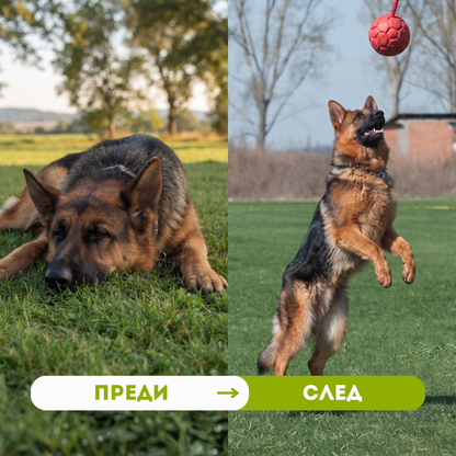 Hip and Joint chews - Здрави стави и свободно движение - 120 бр.