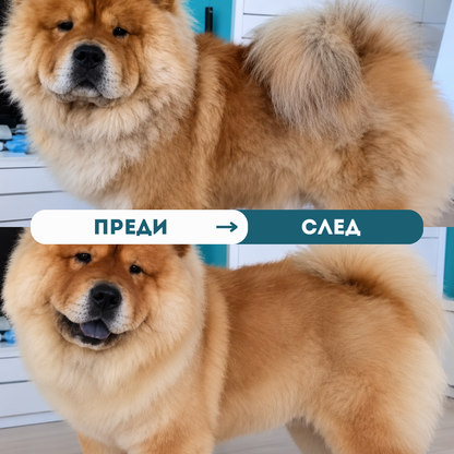Salmon Oil - 100% натурално масло от сьомга - 250/500мл
