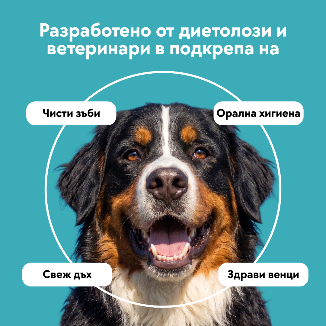 Дентална пудра - Чисти зъби, свеж дъх и красива усмивка - 120 гр.