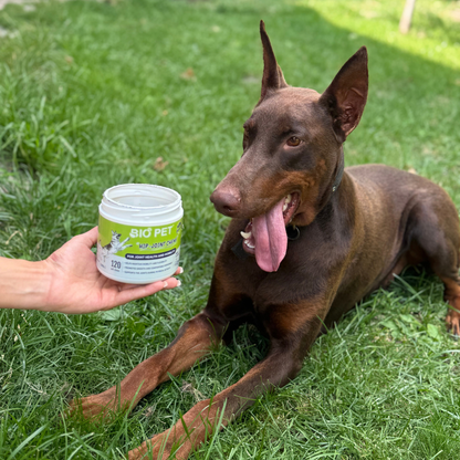 Hip and Joint chews - Здрави стави и свободно движение - 120 бр.