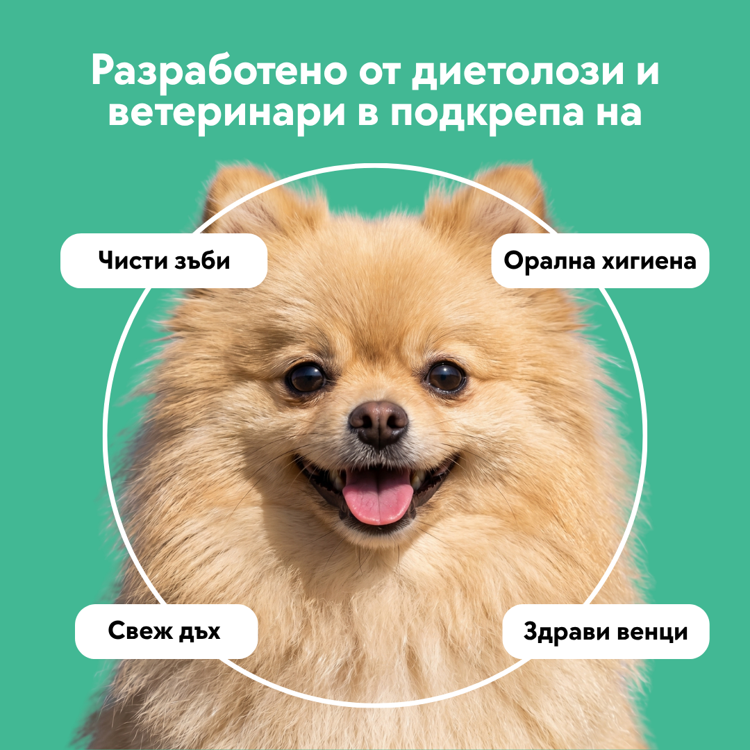Дентална Рутина
