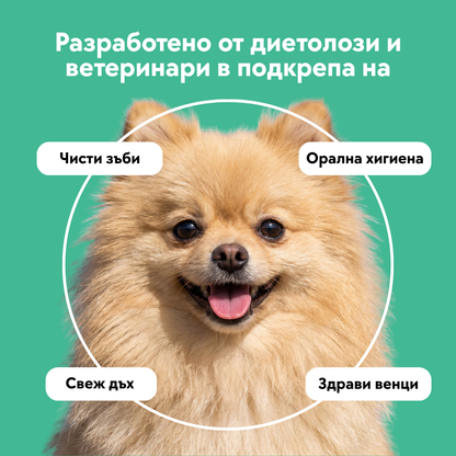 Дентална Рутина