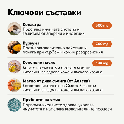 Anti-Allergy Рутина