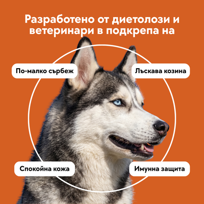 Anti-Allergy Рутина