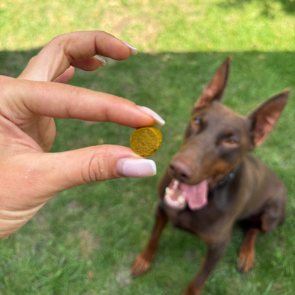 Hip and Joint chews - Здрави стави и свободно движение - 120 бр.