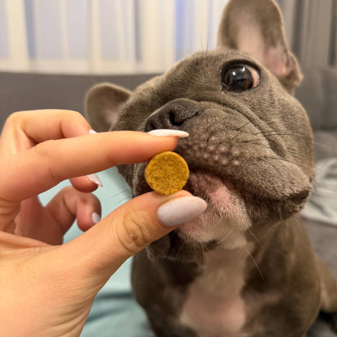Allergy chews - Грижа за кожата, подкрепа за имунитета - 60 бр.