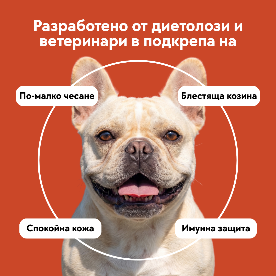 Allergy chews - Грижа за кожата, подкрепа за имунитета - 60 бр.