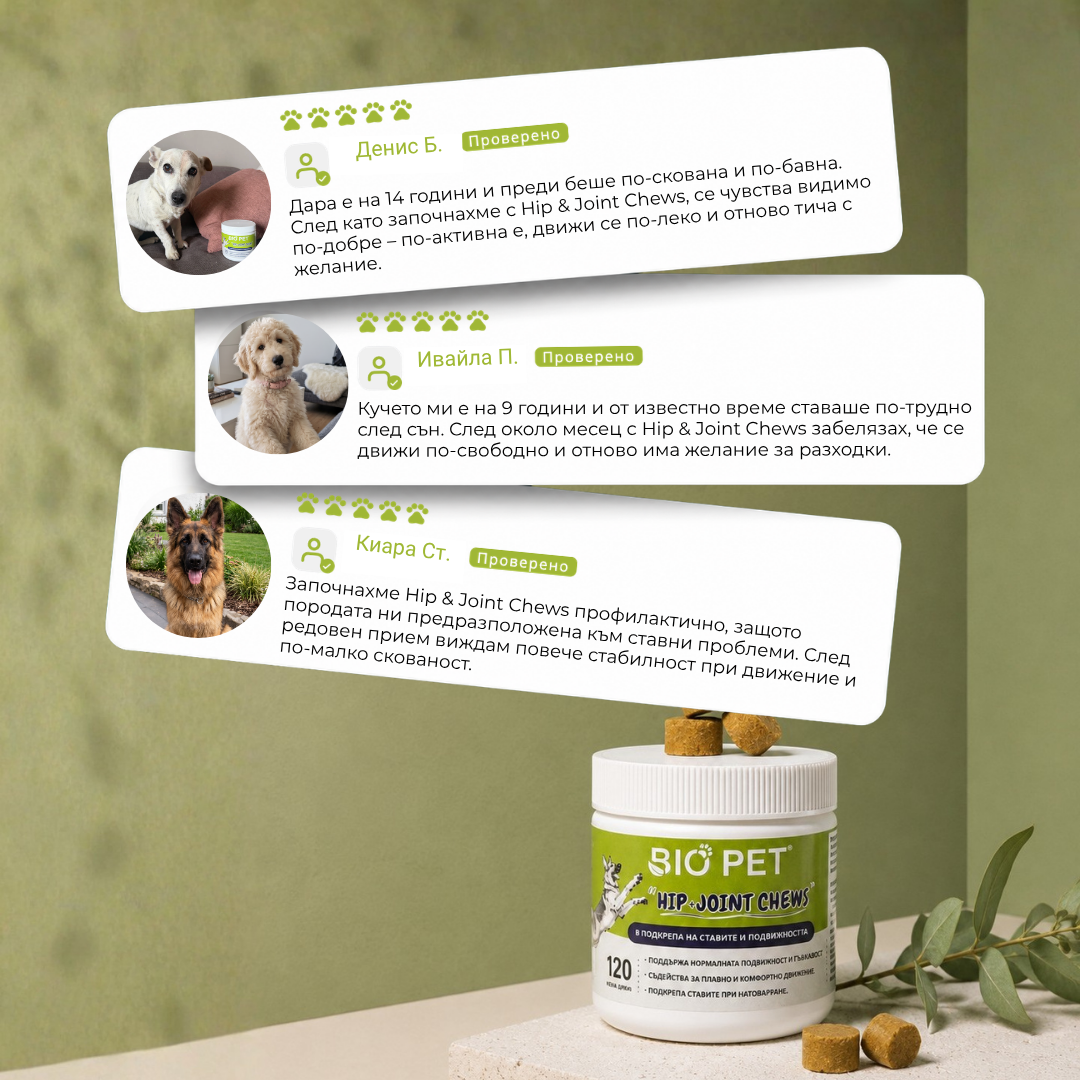 Hip and Joint chews - 120 бр. New Formula