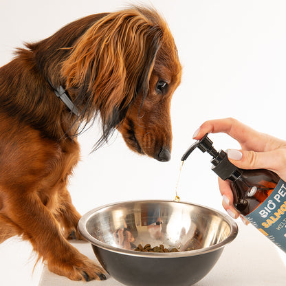 Salmon Oil - 100% натурално масло от сьомга