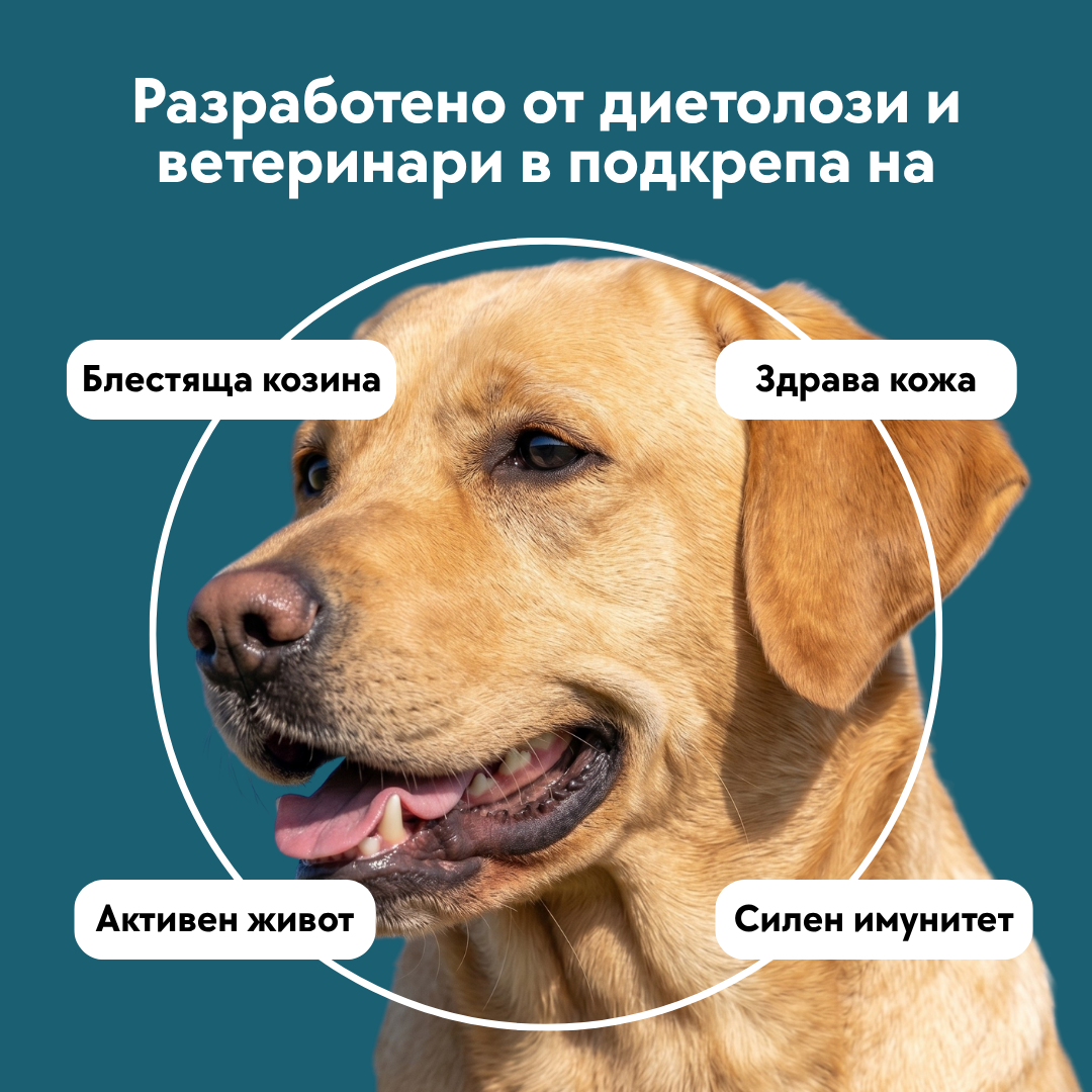 Salmon Oil - 100% натурално масло от сьомга - 250/500мл