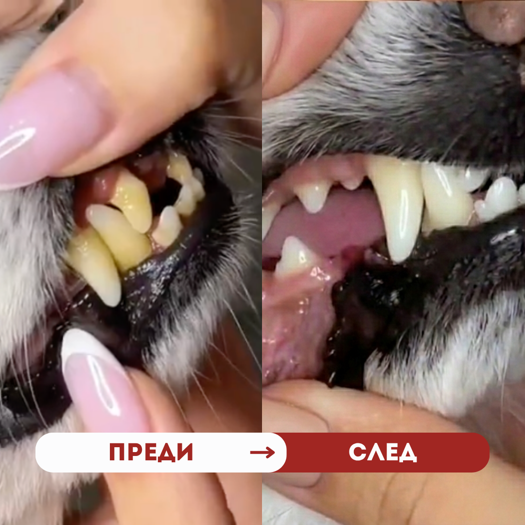 Мокри кърпички за зъби - 50 бр.