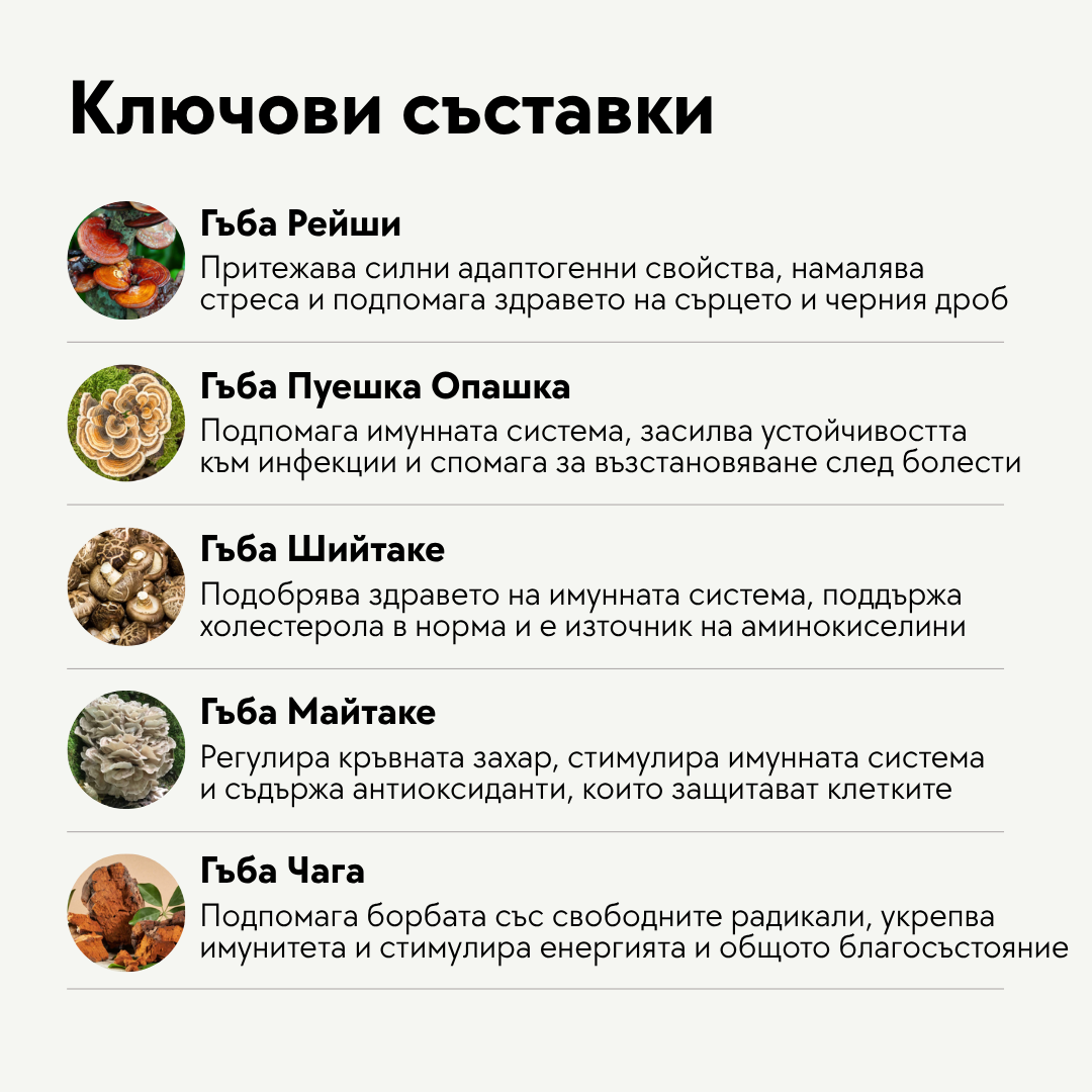 Mushroom Powder - 120 гр.