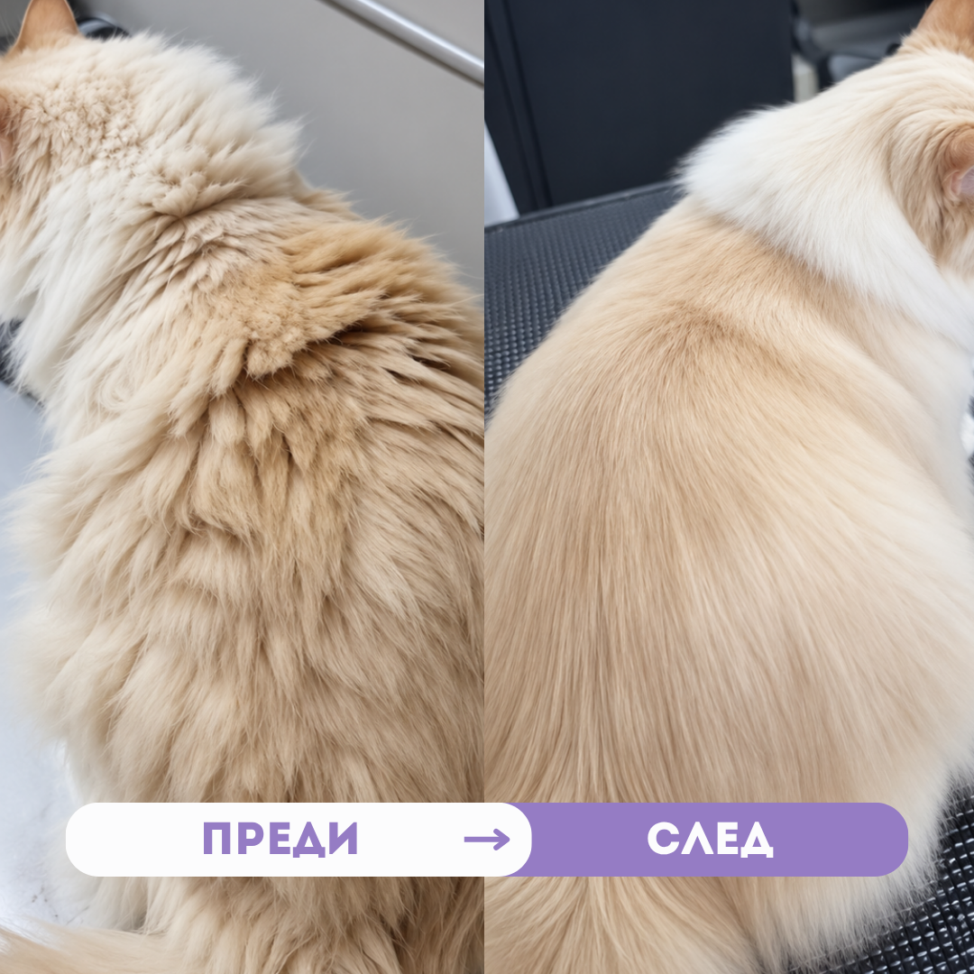 Мултивитамини 3в1 - Козина, Стави и Общо Здраве ~250 бр.