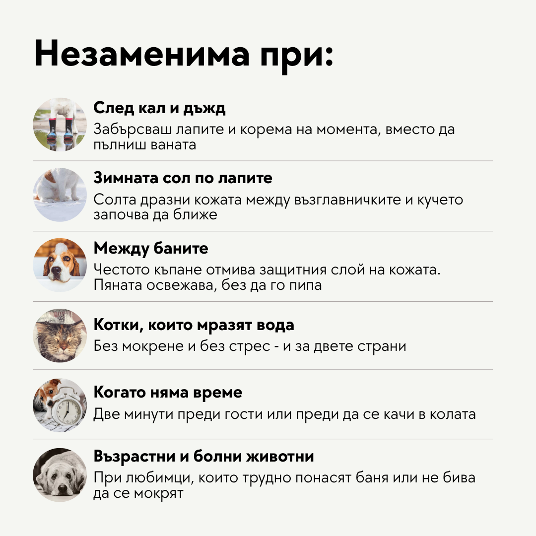 Пробиотична пяна за сухо почистване - 210мл.