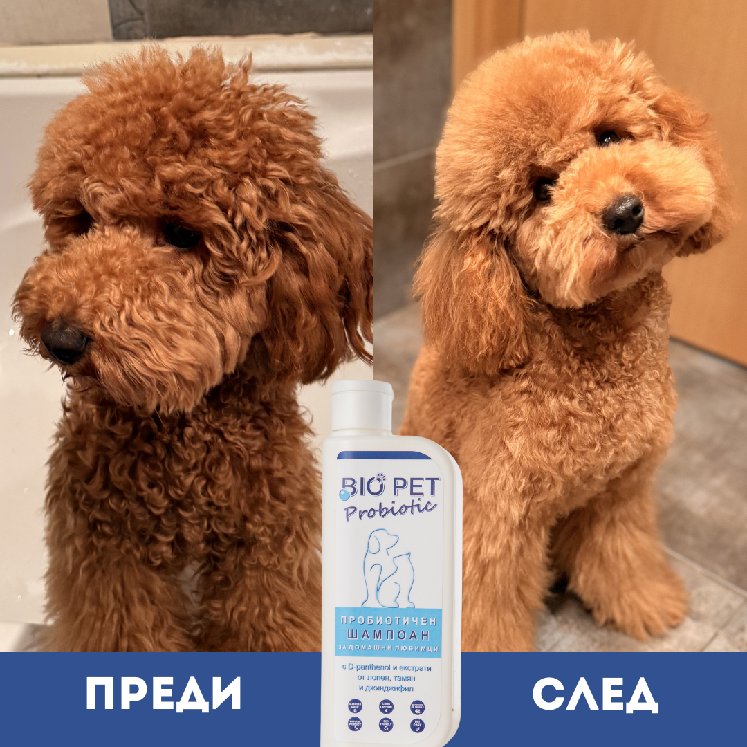 Пробиотичен шампоан BIO PET Probiotic - 250мл.